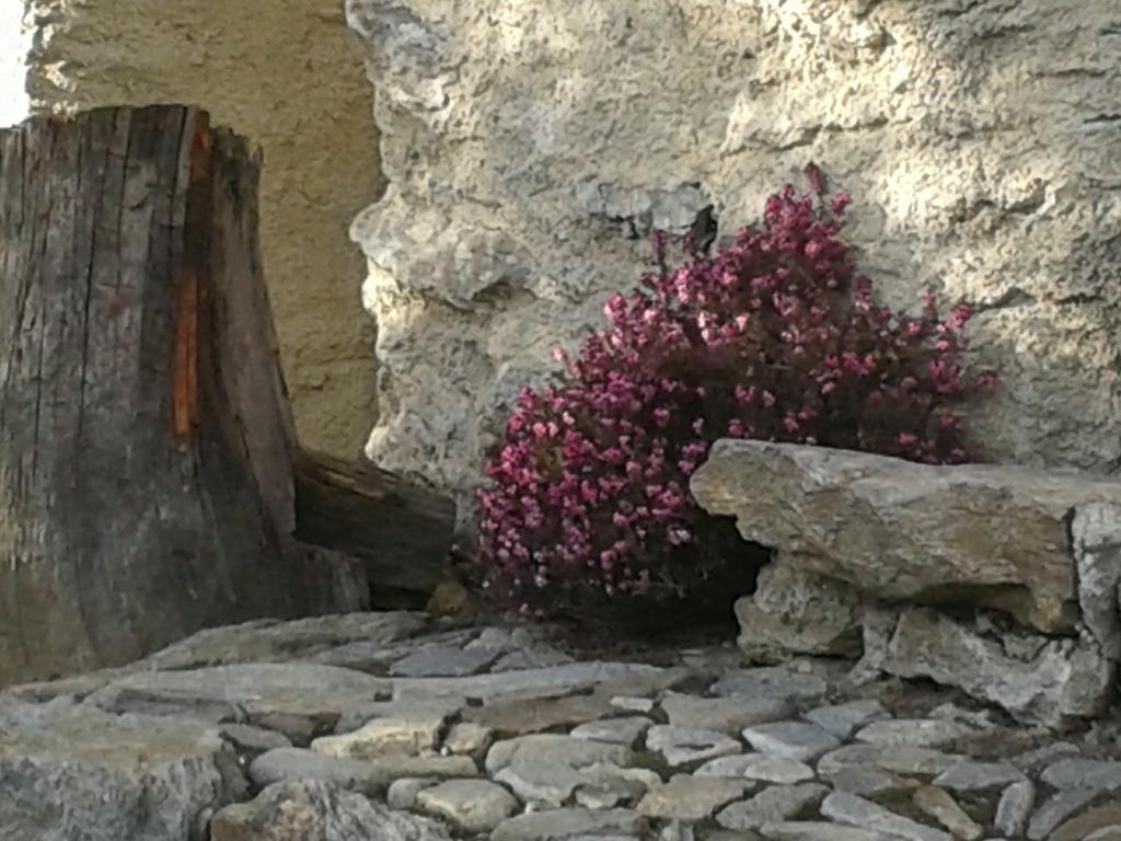 Casa Vacanze Roncaiola Tirano Exteriér fotografie